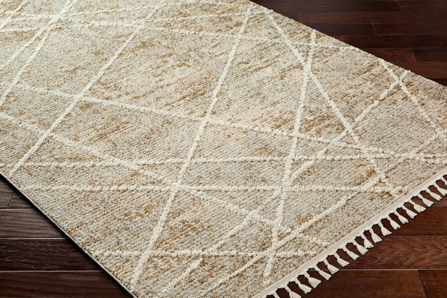 Surya Rudy Rdy-2308 Gray, Medium Gray, Light Beige, Medium Brown, Cream Rug.