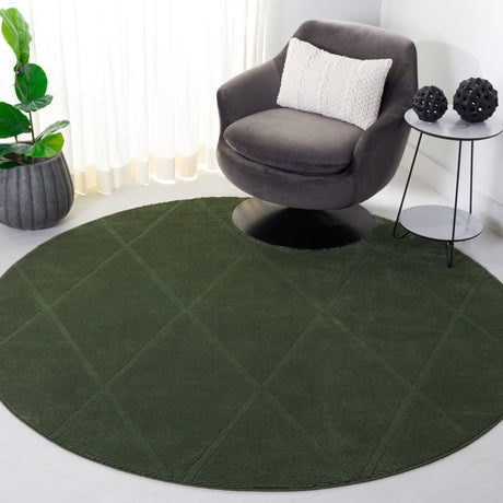 Safavieh Revive Rev104Y Green Rug.