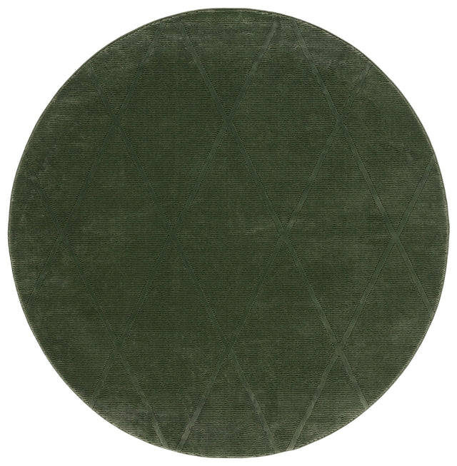 Safavieh Revive Rev104Y Green Rug.