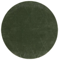 Safavieh Revive Rev104Y Green Area Rug