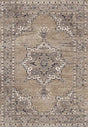 Rizzy Encore En7351 Med. Brown Rugs.