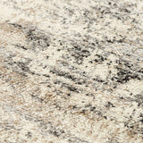 Rizzy Palace Plc854 Beige Rug.