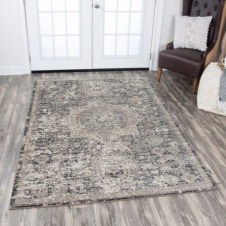 Rizzy Panache Pn6977 Gray, Natural, Tan, Dark Gray Rugs.