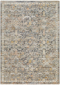 Surya Rojin Roj-2301 Warm Grey, Sage, Metallic - Silver, Grey, Light Silver Area Rug