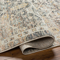 Surya Rojin Roj-2301 Warm Grey, Sage, Metallic - Silver, Grey, Light Silver Area Rug