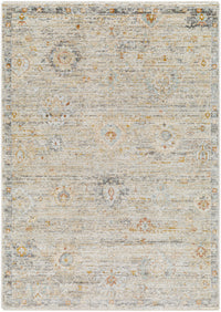 Surya Rojin Roj-2303 Ash, Khaki, Metallic - Silver, Light Silver Area Rug