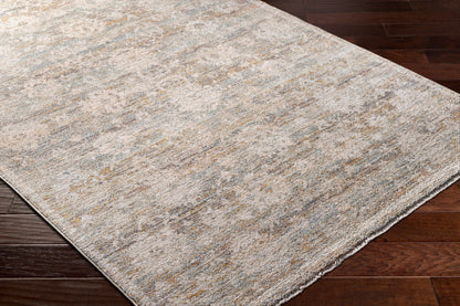 Surya Rojin Roj-2304 Ash, Slate Grey Taupe, Light Silver, Khaki, Sage, Metallic - Silver Area Rug