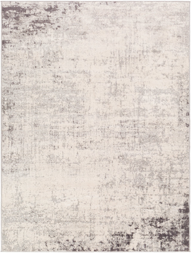 Surya Roma Rom-2393 Charcoal, Gray, Light Gray, Off-White Rug.