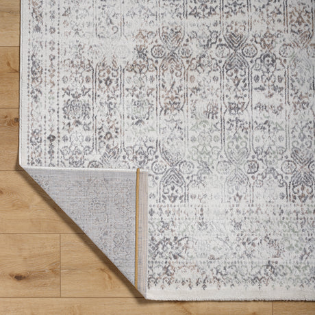 Surya Roma Rom-2403 Light Silver, Off-White, Pale Slate, Ash Rug.