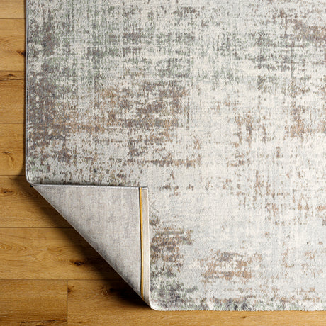 Surya Roma Rom-2404 Ash, Pewter, Light Silver, Sage Rug.