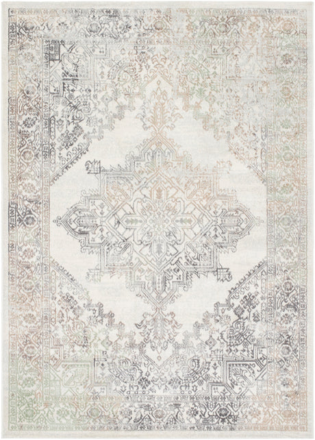 Surya Roma Rom-2405 Light Silver, Light Grey, Pale Slate, Silver, Metallic - Silver Rug.