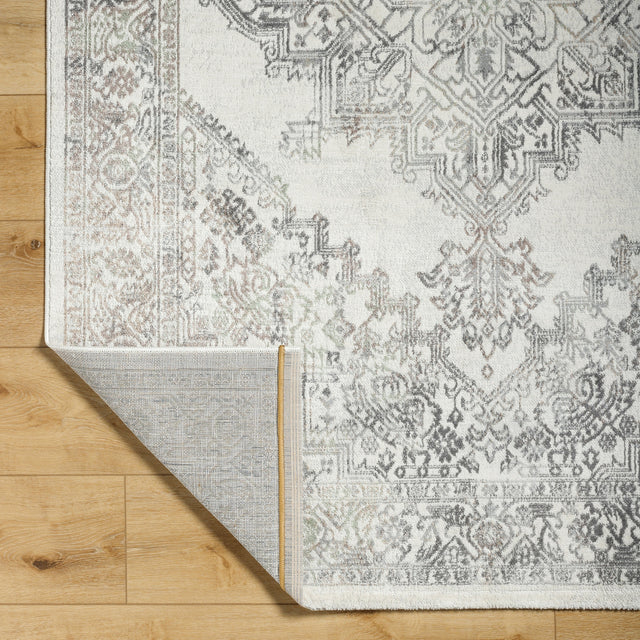 Surya Roma Rom-2405 Light Silver, Light Grey, Pale Slate, Silver, Metallic - Silver Rug.