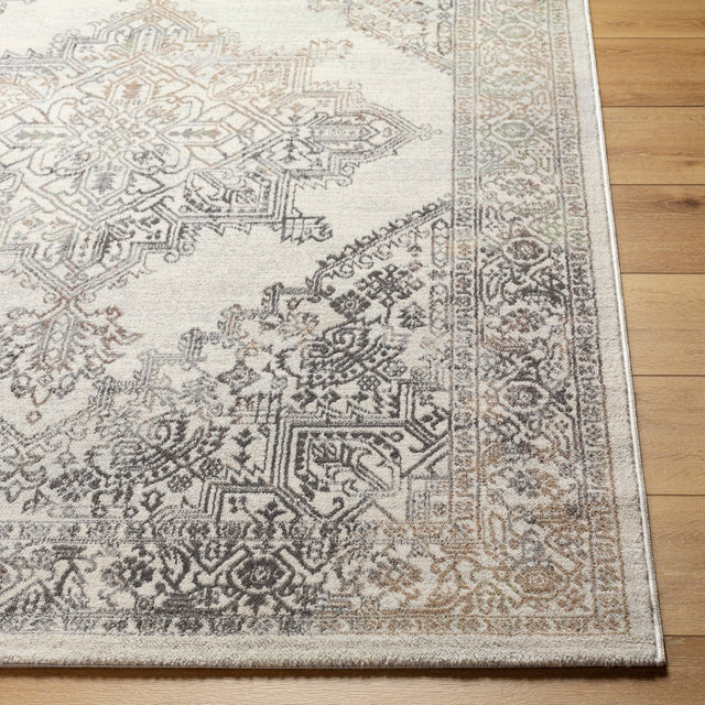 Surya Roma Rom-2405 Light Silver, Light Grey, Pale Slate, Silver, Metallic - Silver Rug.