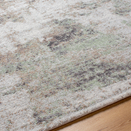 Surya Roma Rom-2408 Light Grey, Ash, Metallic - Silver Rug.