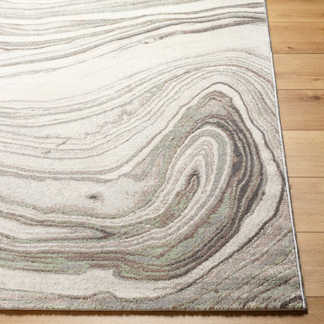 Surya Roma Rom-2409 Light Silver, Light Grey, Pale Slate, Silver Rug.