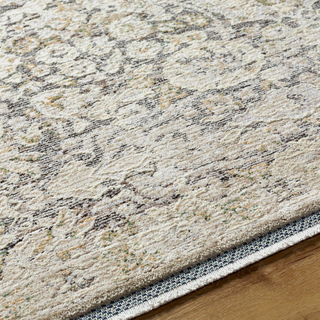 Surya Rivaldo Rvd-2303 Ash, Pewter, Sage Rug.