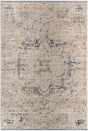 Surya Rivaldo Rvd-2308 Ash, Metallic - Silver, Sage, Pewter Rug.