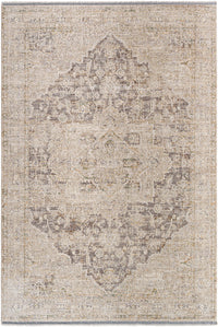 Surya Rivaldo Rvd-2310 Ash, Khaki, Metallic - Silver, Sage Area Rug