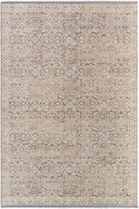 Surya Rivaldo Rvd-2311 Ash, Metallic - Silver, Sage Area Rug