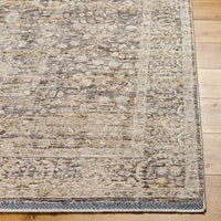 Surya Rivaldo Rvd-2312 Ash, Metallic - Silver, Khaki, Sage, Pewter Area Rug