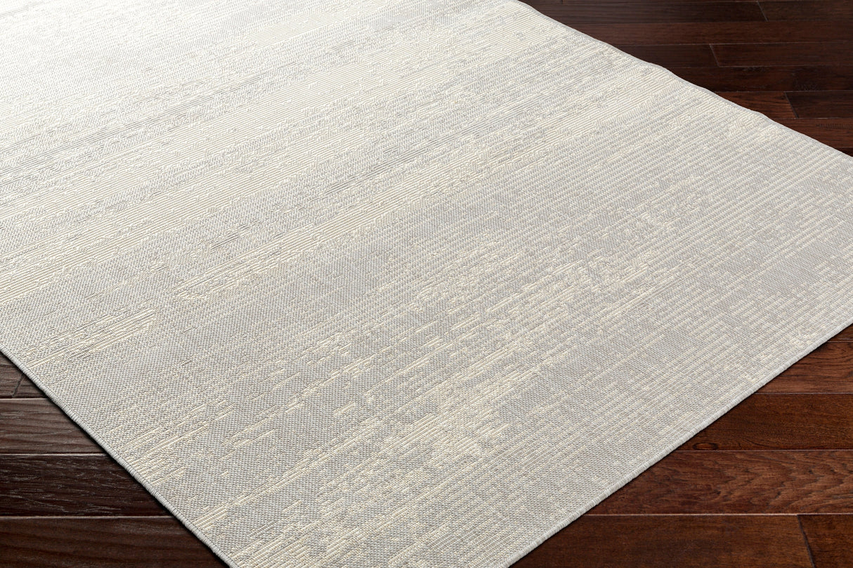 Surya Ravello Rvl-2304 Light Gray, Charcoal, Ivory, Light Beige Rug.