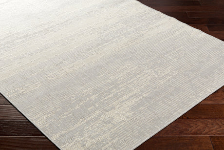 Surya Ravello Rvl-2304 Light Gray, Charcoal, Ivory, Light Beige Rug.