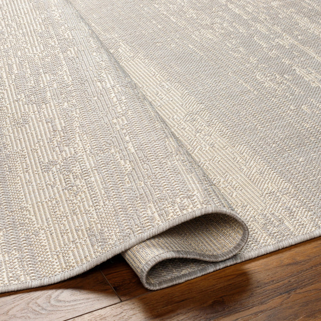 Surya Ravello Rvl-2304 Light Gray, Charcoal, Ivory, Light Beige Rug.
