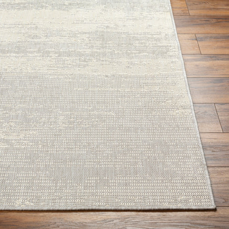 Surya Ravello Rvl-2304 Light Gray, Charcoal, Ivory, Light Beige Rug.