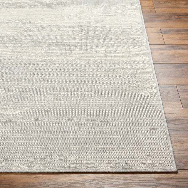 Surya Ravello Rvl-2304 Light Gray, Charcoal, Ivory, Light Beige Rug.