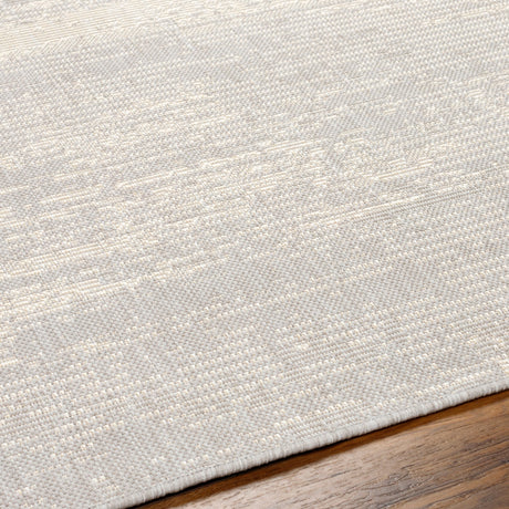 Surya Ravello Rvl-2304 Light Gray, Charcoal, Ivory, Light Beige Rug.