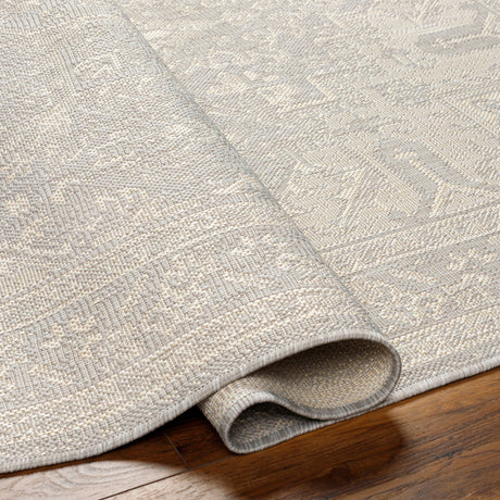 Surya Ravello Rvl-2310 Light Gray, Charcoal, Ivory, Light Beige Rug.