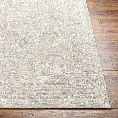 Surya Ravello Rvl-2310 Light Gray, Charcoal, Ivory, Light Beige Rug.