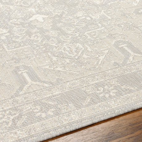 Surya Ravello Rvl-2310 Light Gray, Charcoal, Ivory, Light Beige Rug.