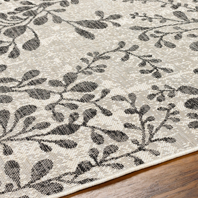 Surya Ravello Rvl-2317 Ivory, Light Beige, Light Gray, Black Rug.