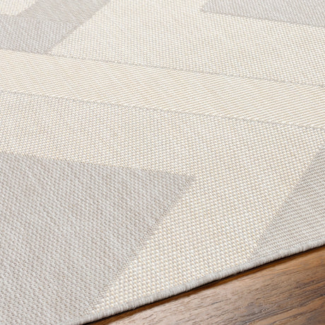 Surya Ravello Rvl-2319 Light Gray, Charcoal, Ivory, Light Beige Rug.