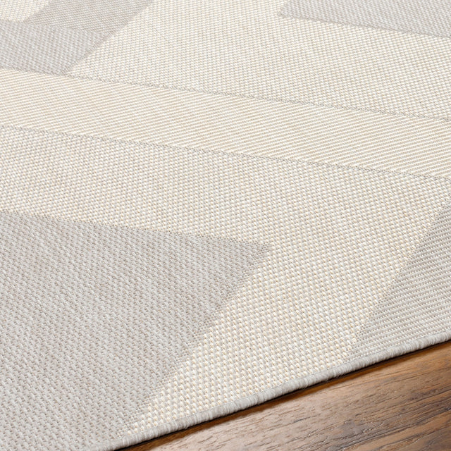 Surya Ravello Rvl-2319 Light Gray, Charcoal, Ivory, Light Beige Rug.
