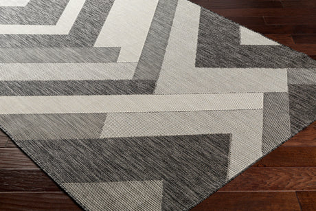 Surya Ravello Rvl-2320 Light Gray, Black, Ivory, Light Beige Rug.