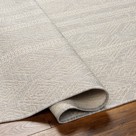 Surya Ravello Rvl-2322 Light Gray, Charcoal, Ivory, Light Beige Rug.