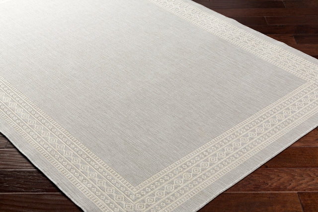 Surya Ravello Rvl-2334 Light Gray, Charcoal, Ivory, Light Beige Rug.