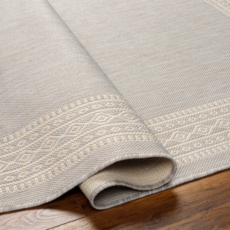 Surya Ravello Rvl-2334 Light Gray, Charcoal, Ivory, Light Beige Rug.