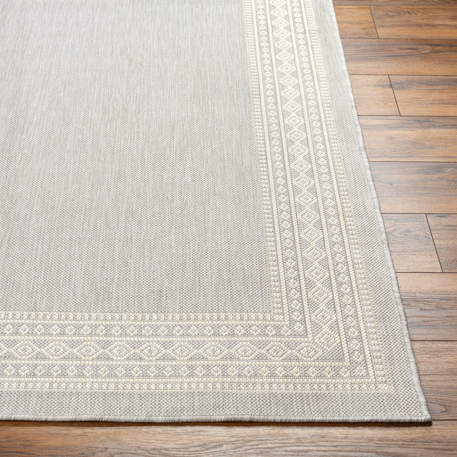 Surya Ravello Rvl-2334 Light Gray, Charcoal, Ivory, Light Beige Rug.