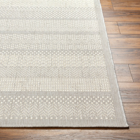 Surya Ravello Rvl-2337 Light Gray, Charcoal, Ivory, Light Beige Rug.