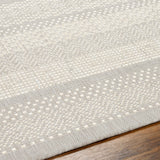 Surya Ravello Rvl-2337 Light Gray, Charcoal, Ivory, Light Beige Rug.