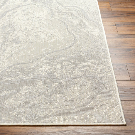 Surya Ravello Rvl-2343 Light Gray, Charcoal, Ivory, Light Beige Rug.