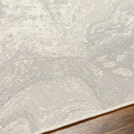 Surya Ravello Rvl-2343 Light Gray, Charcoal, Ivory, Light Beige Rug.