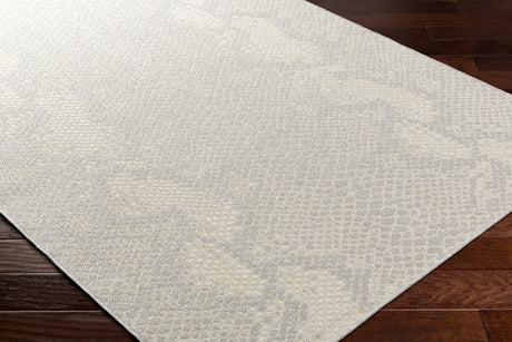 Surya Ravello Rvl-2346 Light Gray, Charcoal, Ivory, Light Beige Rug.