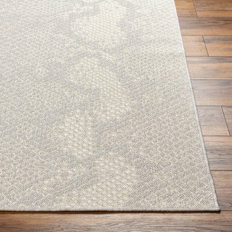 Surya Ravello Rvl-2346 Light Gray, Charcoal, Ivory, Light Beige Rug.