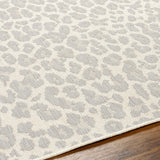 Surya Ravello Rvl-2349 Light Gray, Charcoal, Ivory, Light Beige Rug.