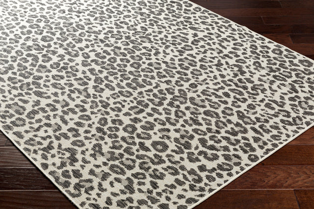 Surya Ravello Rvl-2350 Light Gray, Black, Ivory, Light Beige Rug.