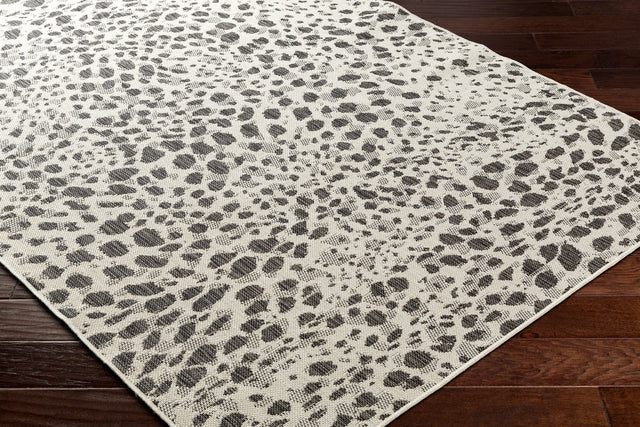 Surya Ravello Rvl-2356 Ivory, Light Beige, Light Gray, Black Rug.